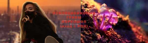 спиды Нея
