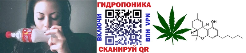 Купить  Энем  Каннабис Amnesia 